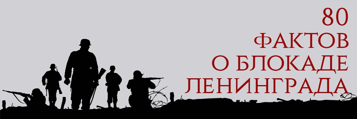 баннер портал