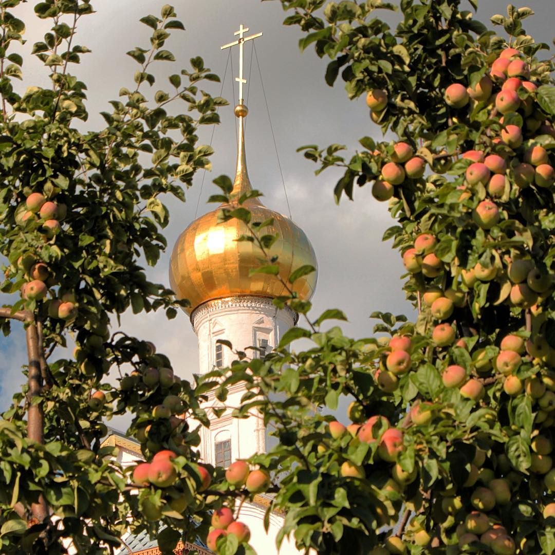 Я СпасЯблочный