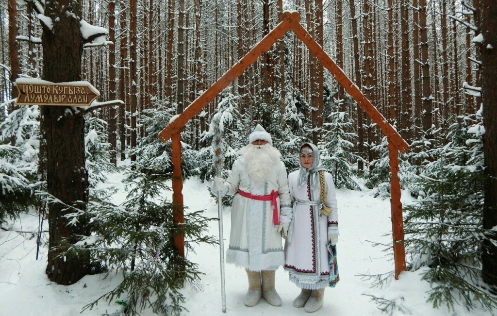 ДМ МАРИЙ ЭЛ 3